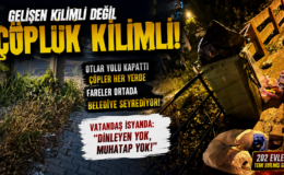 GELİŞEN KİLİMLİ DEĞİL, ÇÖPLÜĞE DÖNEN 202 EVLER