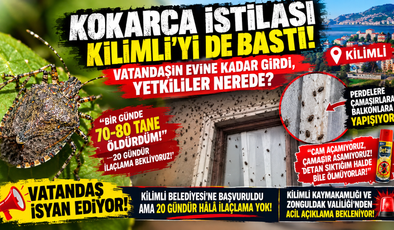 KOKARCA İSTİLASI KİLİMLİ’Yİ DE VURDU!